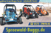 www.Spreewald-Buggy.de